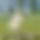BandLab banner for @symmetrical