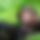 BandLab banner for @assumes
