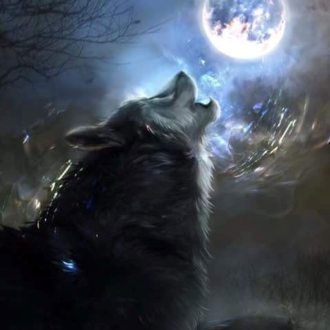 BandLab profile picture for @wolfe