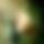 BandLab banner for @shabbirali