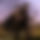 BandLab banner for @veronth