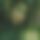 BandLab banner for @ereeny