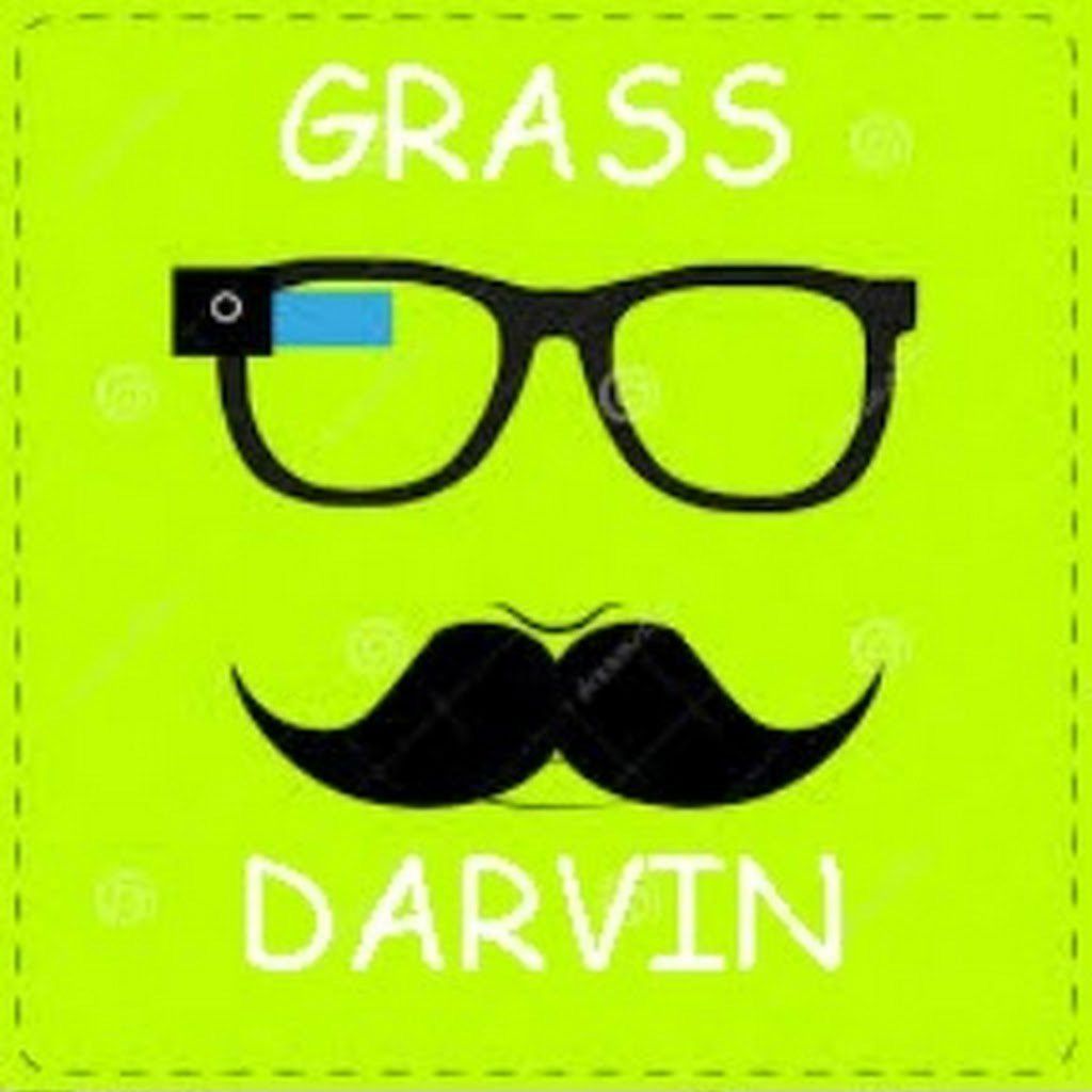 BandLab profile picture for @grassy