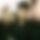 BandLab banner for @seismic