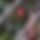 BandLab banner for @enzo