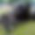 BandLab banner for @fosse