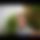 BandLab banner for @andrews