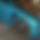 BandLab banner for @shane