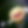 BandLab banner for @remi