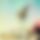 BandLab banner for @donor