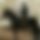 BandLab banner for @shaman