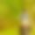 BandLab banner for @manjunath
