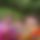 BandLab banner for @ujwa