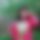 BandLab banner for @oanh