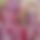 BandLab banner for @hadis