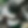 BandLab banner for @notification
