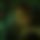 BandLab banner for @mika