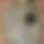 BandLab banner for @upfyee