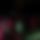 BandLab banner for @experience