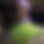 BandLab banner for @indignation