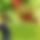 BandLab banner for @manavpatel