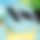 BandLab banner for @tilted