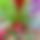 BandLab banner for @beaches