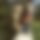 BandLab banner for @upcoming