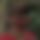 BandLab banner for @enters