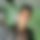 BandLab banner for @mishra