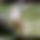 BandLab banner for @definition