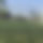 BandLab banner for @scamming