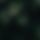 BandLab banner for @pretending