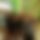 BandLab banner for @quixote