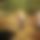 BandLab banner for @carbs
