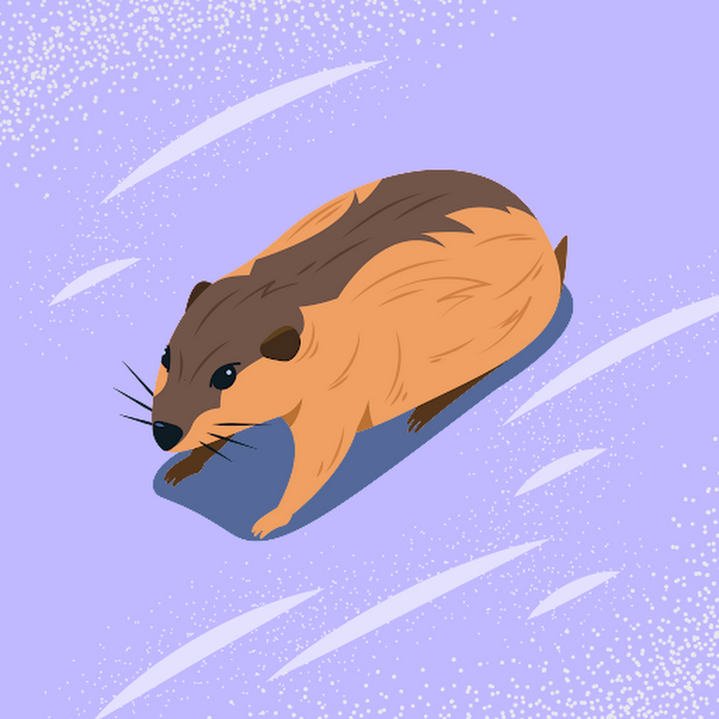 BandLab profile picture for @uploads