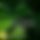 BandLab banner for @urdaneta