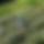 BandLab banner for @xsaisumi
