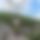 BandLab banner for @wiki