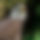 BandLab banner for @gomezfranc