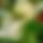 BandLab banner for @justifiable