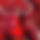BandLab banner for @agonizing