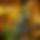 BandLab banner for @iiibergg