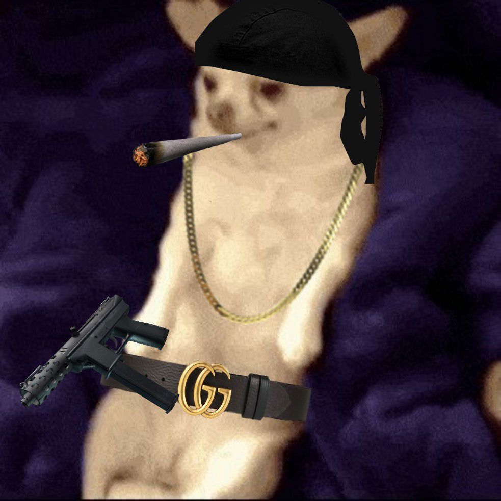 BandLab profile picture for @divvy