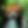 BandLab banner for @mimi