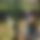 BandLab banner for @grammar