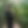 BandLab banner for @section