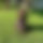 BandLab banner for @ianasfxck