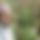 BandLab banner for @mushtaq