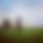 BandLab banner for @timor